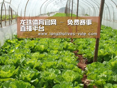 种植基地五