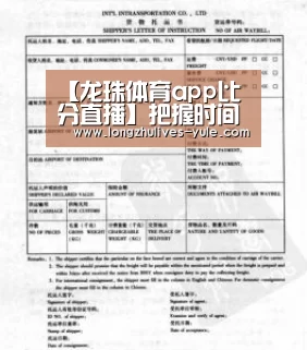 龙珠体育app比分直播