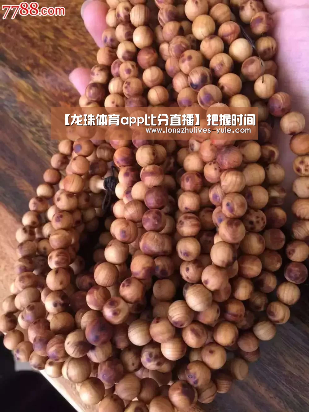 龙珠体育app比分直播