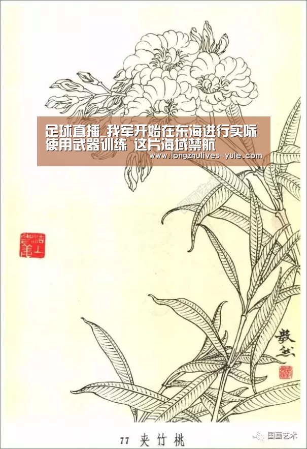  赛事数据直播