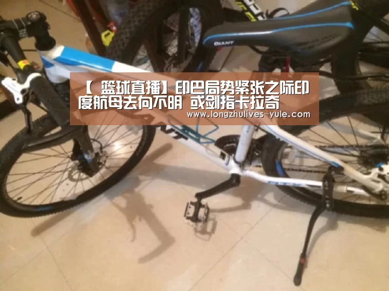  赛事数据直播