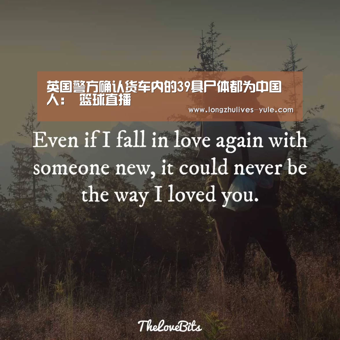 龙珠体育app比分直播