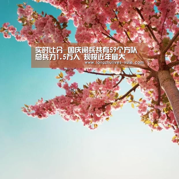 实时比分