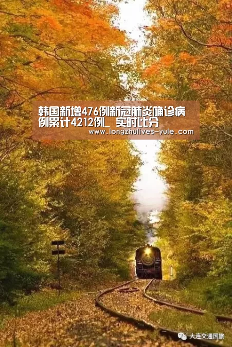  实时比分