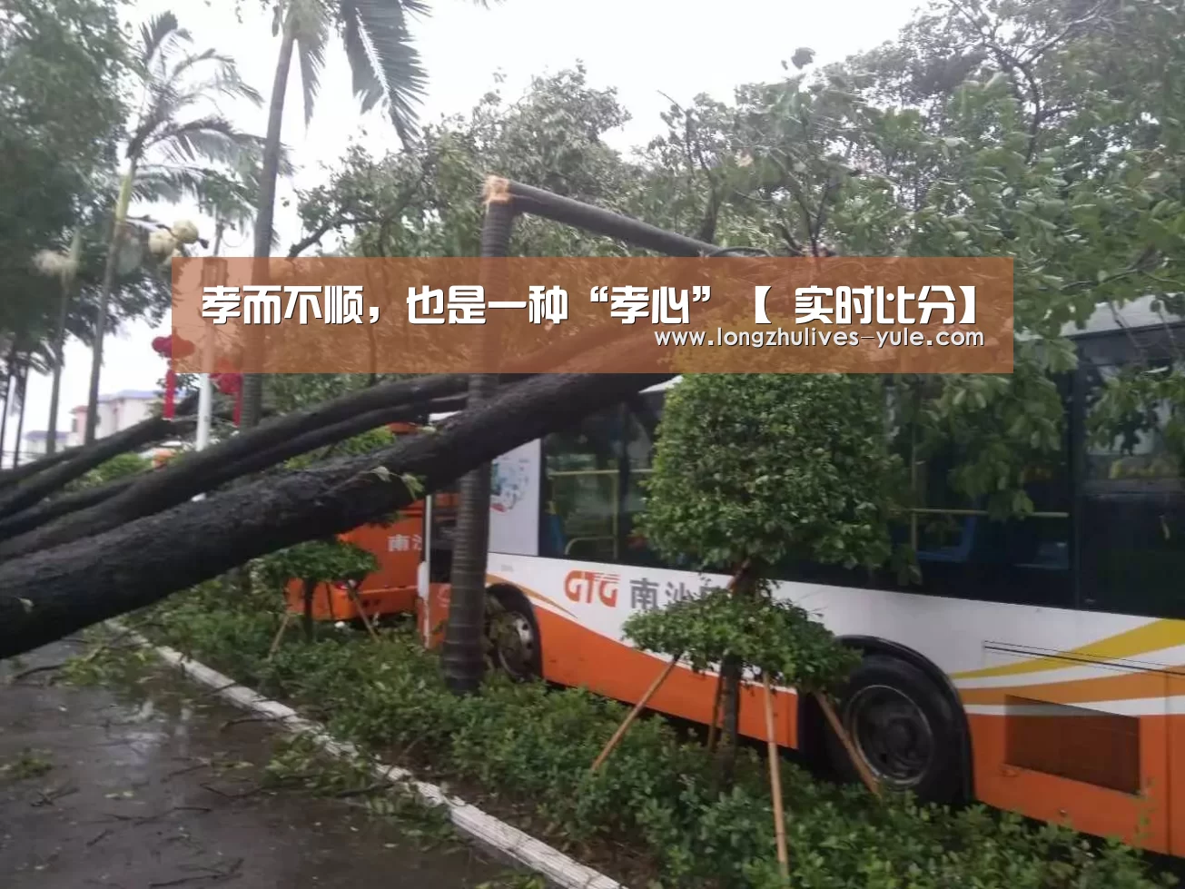  实时比分